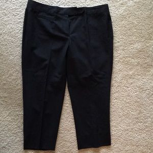 Laundry by design classy capri pants